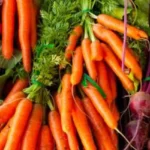 Aspen-Saturday-Market-_Desktop_ECO