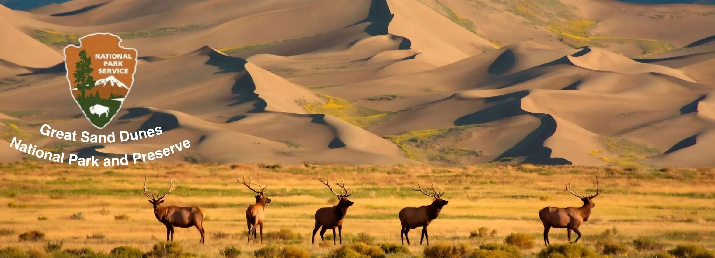 Great-Sand-Dunes-National-Park-and-Preserve_Desktop_CO