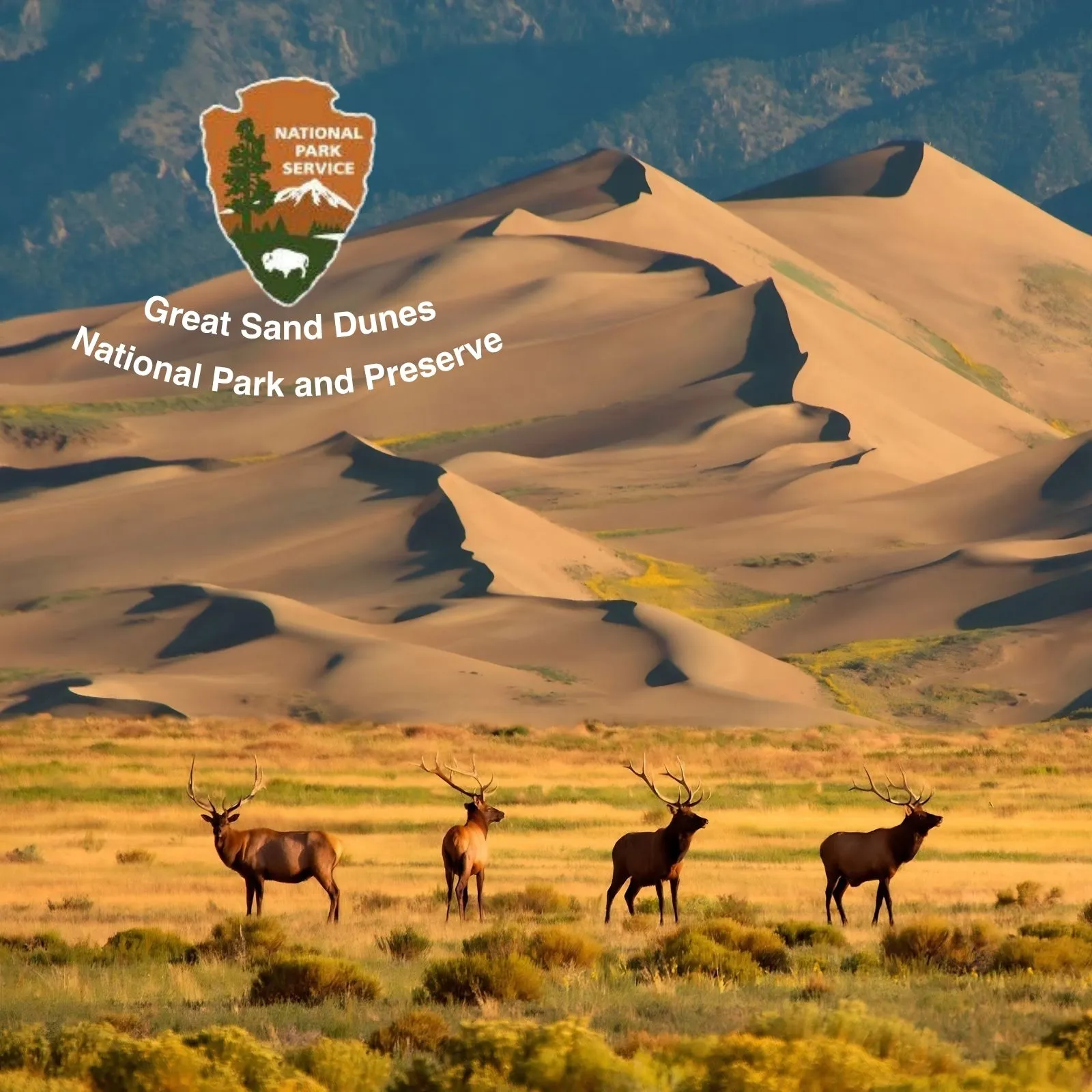 Great-Sand-Dunes-National-Park-and-Preserve_Mobile_CO