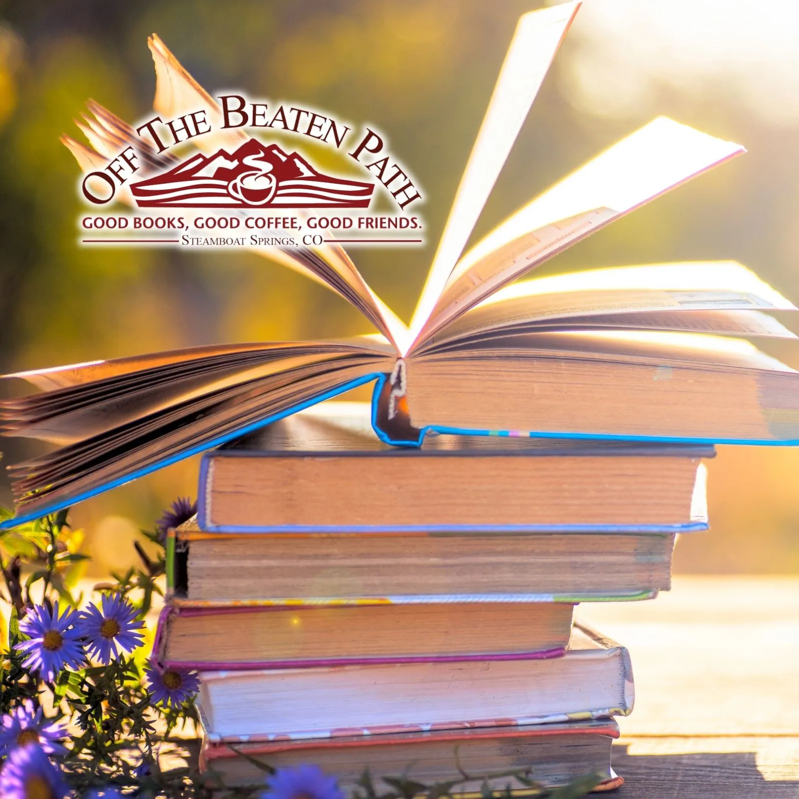 Off-the-Beaten-Path-Bookstore_Mobile_CO