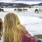 Vista-Verde-Ranch_Desktop_CO