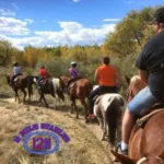 12-Mile-Stables_Mobile_CO